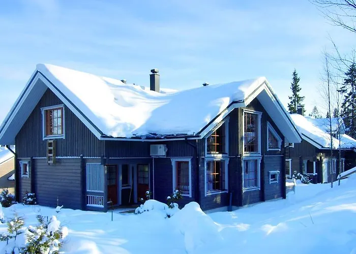 Vuokatin Aateli Ruhtinatar 别墅 沃卡蒂